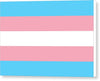 Transgender Flag - Canvas Print