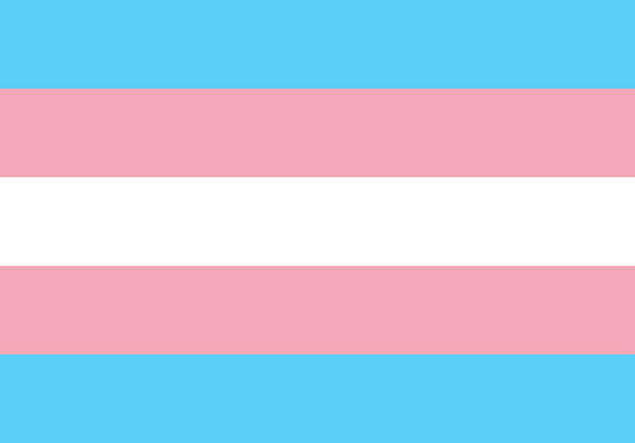 Transgender Flag - Art Print