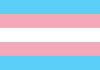 Transgender Flag - Art Print