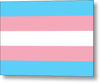 Transgender Flag - Metal Print